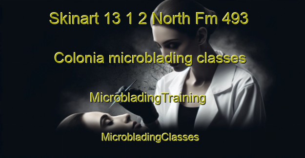 Skinart 13 1 2 North Fm 493 Colonia microblading classes | MicrobladingTraining | MicrobladingClasses | SkinartTraining-United States