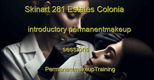 Skinart 281 Estates Colonia introductory permanentmakeup sessions | #PermanentmakeupTraining #PermanentmakeupClasses #SkinartTraining-United States