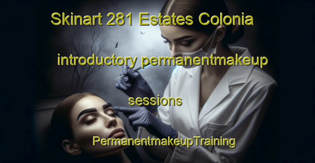 Skinart 281 Estates Colonia introductory permanentmakeup sessions | #PermanentmakeupTraining #PermanentmakeupClasses #SkinartTraining-United States