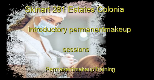 Skinart 281 Estates Colonia introductory permanentmakeup sessions | #PermanentmakeupTraining #PermanentmakeupClasses #SkinartTraining-United States