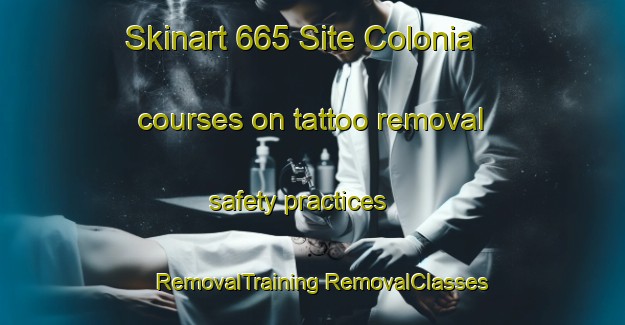 Skinart 665 Site Colonia courses on tattoo removal safety practices | #RemovalTraining #RemovalClasses #SkinartTraining-United States