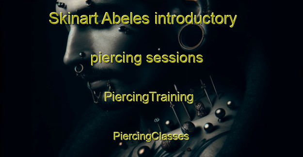 Skinart Abeles introductory piercing sessions | #PiercingTraining #PiercingClasses #SkinartTraining-United States