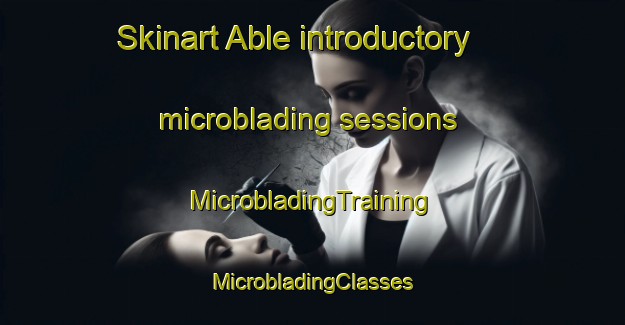 Skinart Able introductory microblading sessions | #MicrobladingTraining #MicrobladingClasses #SkinartTraining-United States