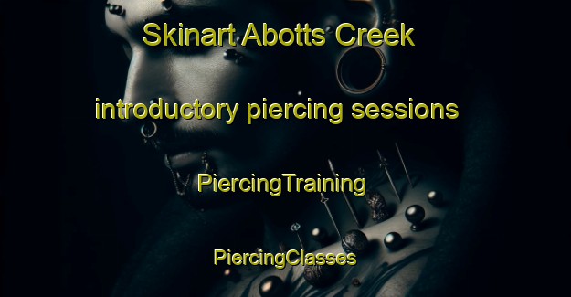 Skinart Abotts Creek introductory piercing sessions | #PiercingTraining #PiercingClasses #SkinartTraining-United States