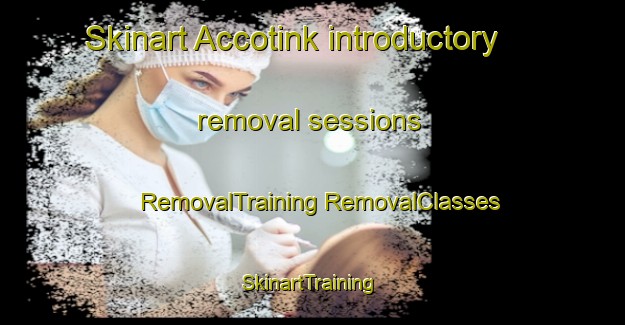 Skinart Accotink introductory removal sessions | #RemovalTraining #RemovalClasses #SkinartTraining-United States