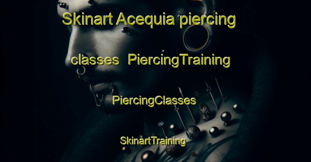 Skinart Acequia piercing classes | #PiercingTraining #PiercingClasses #SkinartTraining-United States