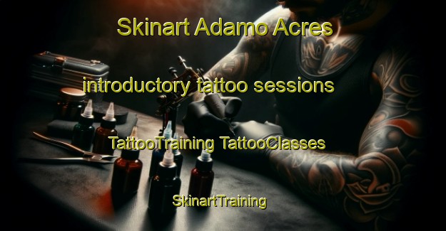 Skinart Adamo Acres introductory tattoo sessions | #TattooTraining #TattooClasses #SkinartTraining-United States