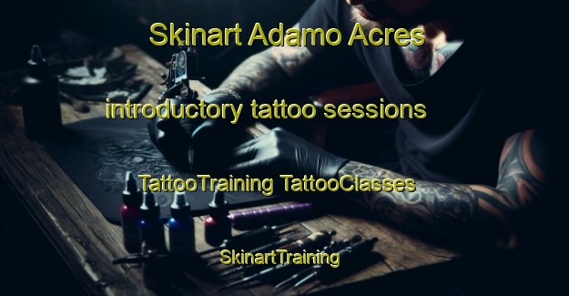 Skinart Adamo Acres introductory tattoo sessions | #TattooTraining #TattooClasses #SkinartTraining-United States