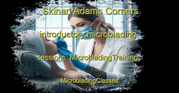 Skinart Adams Corners introductory microblading sessions | #MicrobladingTraining #MicrobladingClasses #SkinartTraining-United States