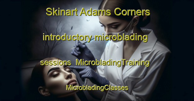 Skinart Adams Corners introductory microblading sessions | #MicrobladingTraining #MicrobladingClasses #SkinartTraining-United States