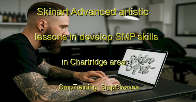 Skinart Advanced artistic lessons in develop SMP skills in Chartridge area | SmpTraining | SmpClasses | SkinartTraining-United States