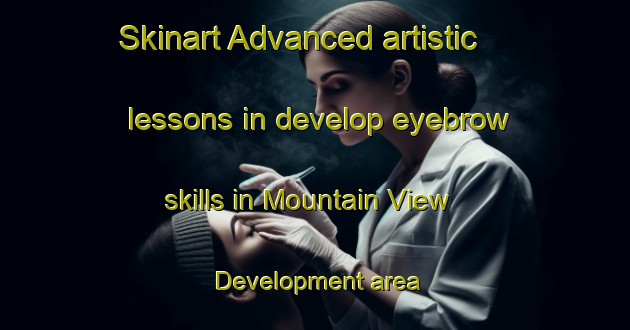 Skinart Advanced artistic lessons in develop eyebrow skills in Mountain View Development area | EyebrowTraining | EyebrowClasses | SkinartTraining-United States