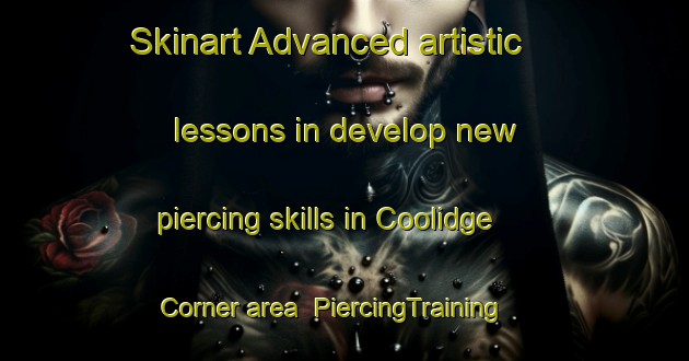 Skinart Advanced artistic lessons in develop new piercing skills in Coolidge Corner area | PiercingTraining | PiercingClasses | SkinartTraining-United States