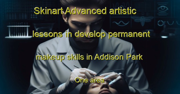 Skinart Advanced artistic lessons in develop permanent makeup skills in Addison Park One area | PermanentmakeupTraining | PermanentmakeupClasses | SkinartTraining-United States