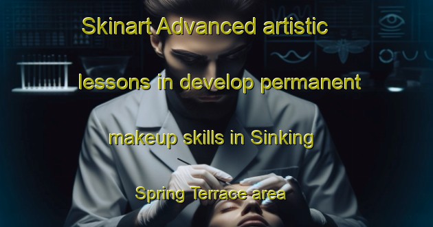 Skinart Advanced artistic lessons in develop permanent makeup skills in Sinking Spring Terrace area | PermanentmakeupTraining | PermanentmakeupClasses | SkinartTraining-United States
