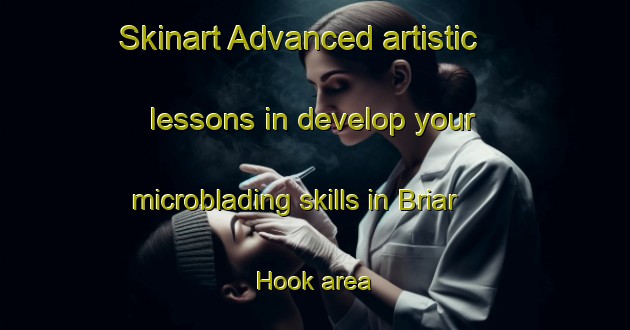 Skinart Advanced artistic lessons in develop your microblading skills in Briar Hook area | MicrobladingTraining | MicrobladingClasses | SkinartTraining-United States