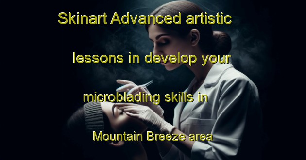 Skinart Advanced artistic lessons in develop your microblading skills in Mountain Breeze area | MicrobladingTraining | MicrobladingClasses | SkinartTraining-United States