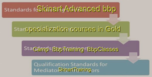 Skinart Advanced bbp specialization courses in Gold Camp | BbpTraining | BbpClasses | SkinartTraining-United States