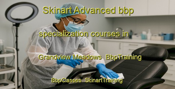 Skinart Advanced bbp specialization courses in Grandview Meadows | BbpTraining | BbpClasses | SkinartTraining-United States