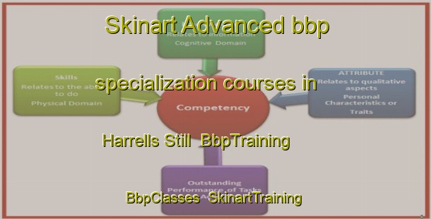 Skinart Advanced bbp specialization courses in Harrells Still | BbpTraining | BbpClasses | SkinartTraining-United States