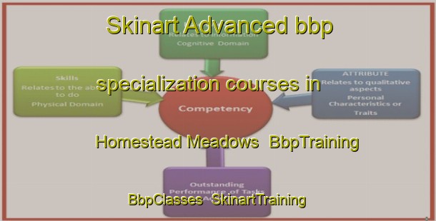 Skinart Advanced bbp specialization courses in Homestead Meadows | BbpTraining | BbpClasses | SkinartTraining-United States