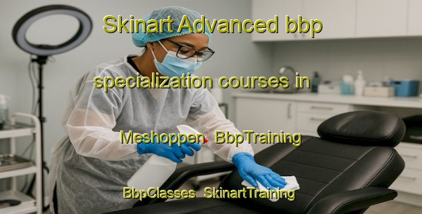 Skinart Advanced bbp specialization courses in Meshoppen | BbpTraining | BbpClasses | SkinartTraining-United States