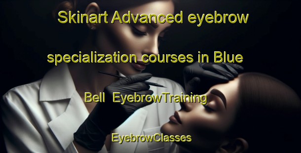 Skinart Advanced eyebrow specialization courses in Blue Bell | EyebrowTraining | EyebrowClasses | SkinartTraining-United States