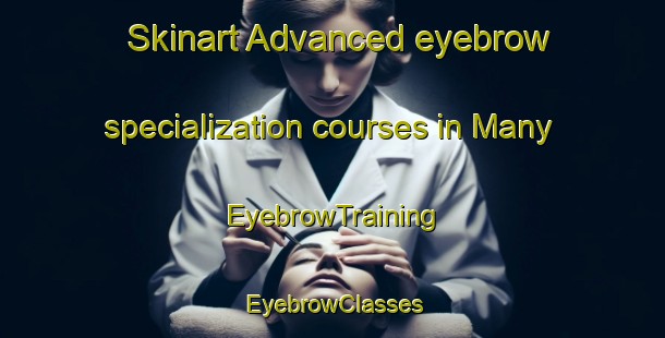 Skinart Advanced eyebrow specialization courses in Many | EyebrowTraining | EyebrowClasses | SkinartTraining-United States