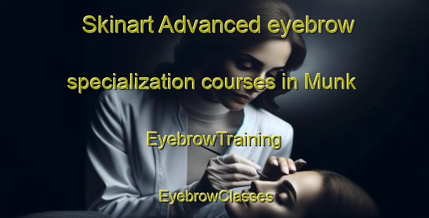 Skinart Advanced eyebrow specialization courses in Munk | EyebrowTraining | EyebrowClasses | SkinartTraining-United States