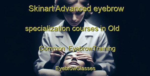 Skinart Advanced eyebrow specialization courses in Old Common | EyebrowTraining | EyebrowClasses | SkinartTraining-United States