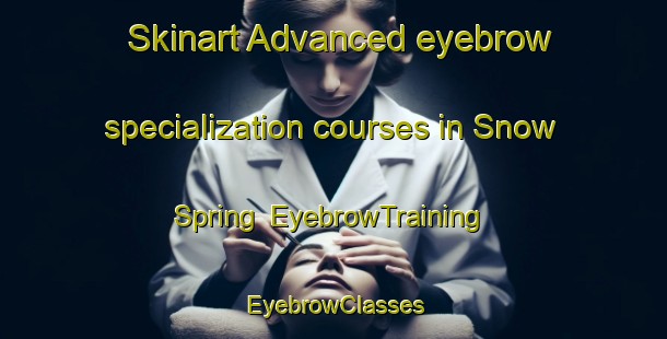 Skinart Advanced eyebrow specialization courses in Snow Spring | EyebrowTraining | EyebrowClasses | SkinartTraining-United States