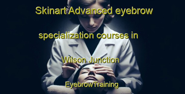 Skinart Advanced eyebrow specialization courses in Wilson Junction | EyebrowTraining | EyebrowClasses | SkinartTraining-United States