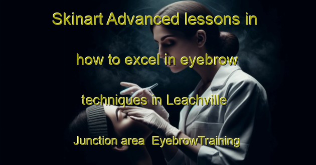 Skinart Advanced lessons in how to excel in eyebrow techniques in Leachville Junction area | EyebrowTraining | EyebrowClasses | SkinartTraining-United States