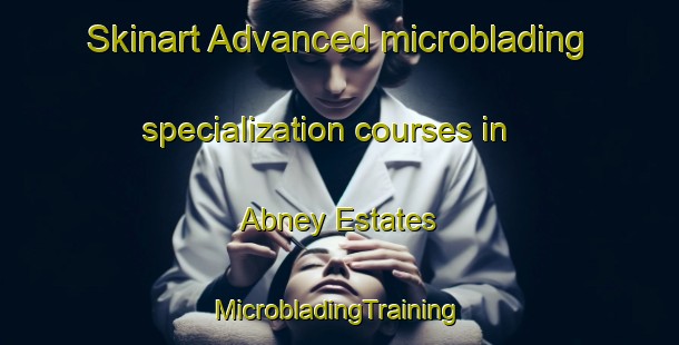 Skinart Advanced microblading specialization courses in Abney Estates | #MicrobladingTraining #MicrobladingClasses #SkinartTraining-United States