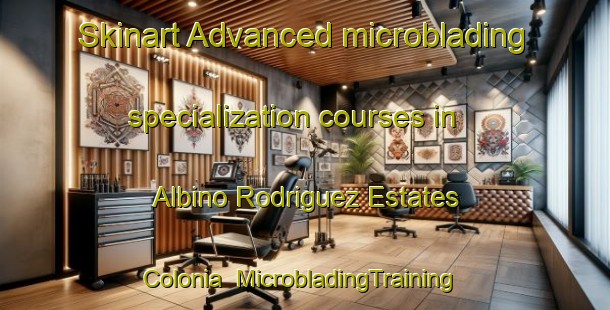 Skinart Advanced microblading specialization courses in Albino Rodriguez Estates Colonia | #MicrobladingTraining #MicrobladingClasses #SkinartTraining-United States