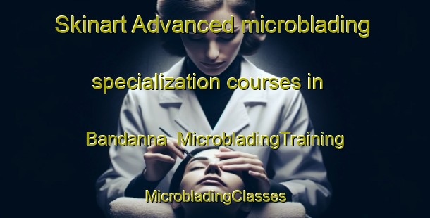 Skinart Advanced microblading specialization courses in Bandanna | #MicrobladingTraining #MicrobladingClasses #SkinartTraining-United States