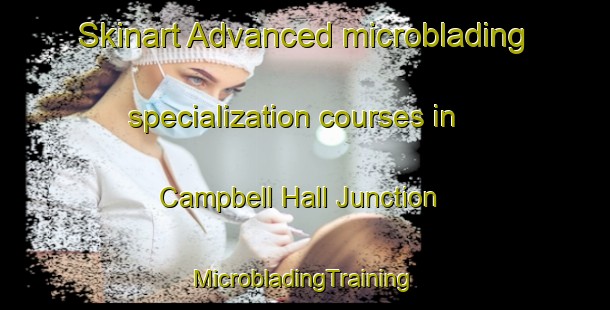 Skinart Advanced microblading specialization courses in Campbell Hall Junction | #MicrobladingTraining #MicrobladingClasses #SkinartTraining-United States