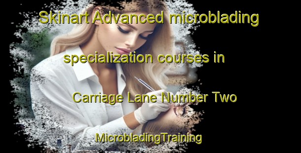 Skinart Advanced microblading specialization courses in Carriage Lane Number Two | #MicrobladingTraining #MicrobladingClasses #SkinartTraining-United States