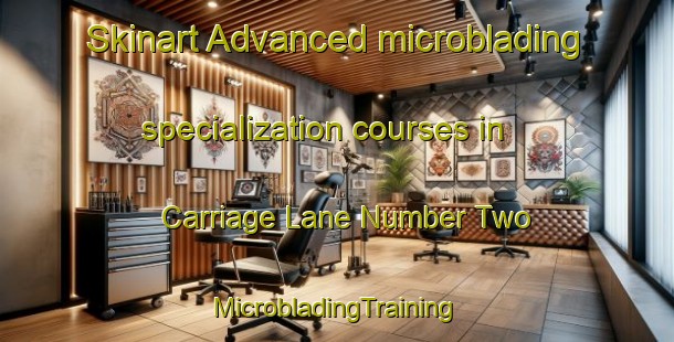 Skinart Advanced microblading specialization courses in Carriage Lane Number Two | #MicrobladingTraining #MicrobladingClasses #SkinartTraining-United States