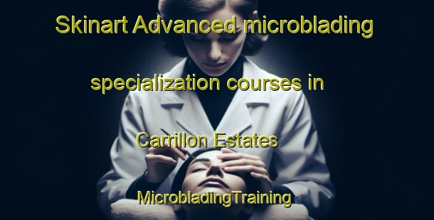 Skinart Advanced microblading specialization courses in Carrillon Estates | #MicrobladingTraining #MicrobladingClasses #SkinartTraining-United States