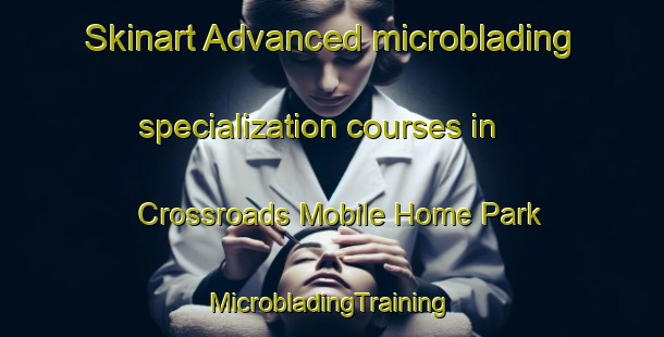 Skinart Advanced microblading specialization courses in Crossroads Mobile Home Park | #MicrobladingTraining #MicrobladingClasses #SkinartTraining-United States