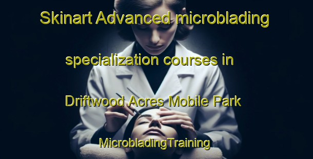 Skinart Advanced microblading specialization courses in Driftwood Acres Mobile Park | #MicrobladingTraining #MicrobladingClasses #SkinartTraining-United States