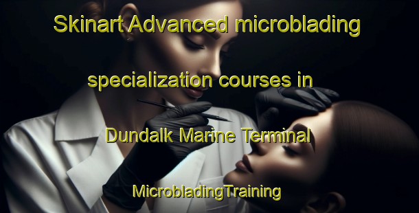 Skinart Advanced microblading specialization courses in Dundalk Marine Terminal | #MicrobladingTraining #MicrobladingClasses #SkinartTraining-United States