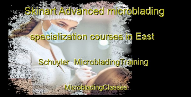 Skinart Advanced microblading specialization courses in East Schuyler | #MicrobladingTraining #MicrobladingClasses #SkinartTraining-United States