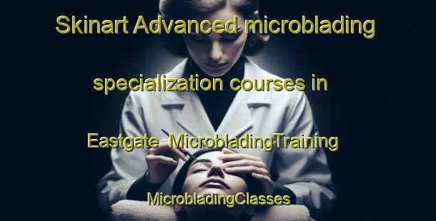 Skinart Advanced microblading specialization courses in Eastgate | #MicrobladingTraining #MicrobladingClasses #SkinartTraining-United States