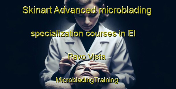 Skinart Advanced microblading specialization courses in El Pavo Vista | #MicrobladingTraining #MicrobladingClasses #SkinartTraining-United States