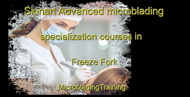 Skinart Advanced microblading specialization courses in Freeze Fork | MicrobladingTraining | MicrobladingClasses | SkinartTraining-United States