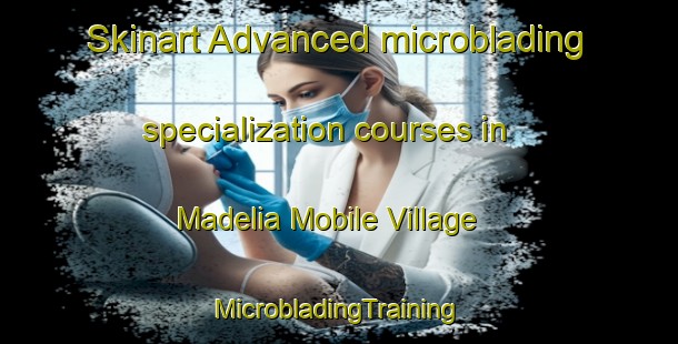 Skinart Advanced microblading specialization courses in Madelia Mobile Village | #MicrobladingTraining #MicrobladingClasses #SkinartTraining-United States