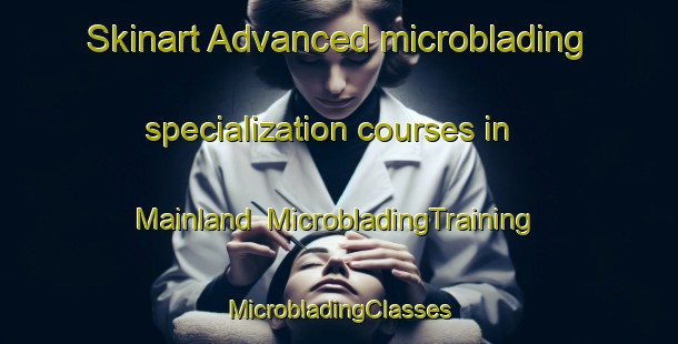 Skinart Advanced microblading specialization courses in Mainland | #MicrobladingTraining #MicrobladingClasses #SkinartTraining-United States