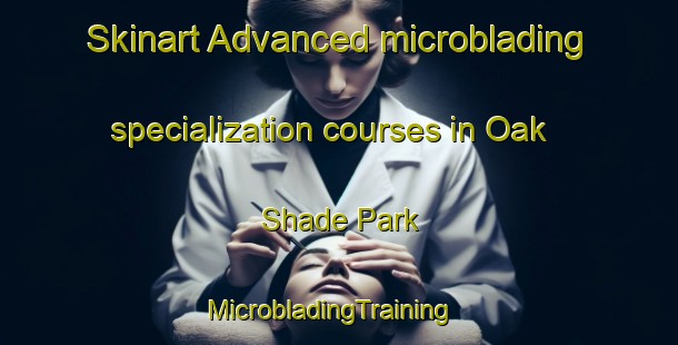Skinart Advanced microblading specialization courses in Oak Shade Park | MicrobladingTraining | MicrobladingClasses | SkinartTraining-United States